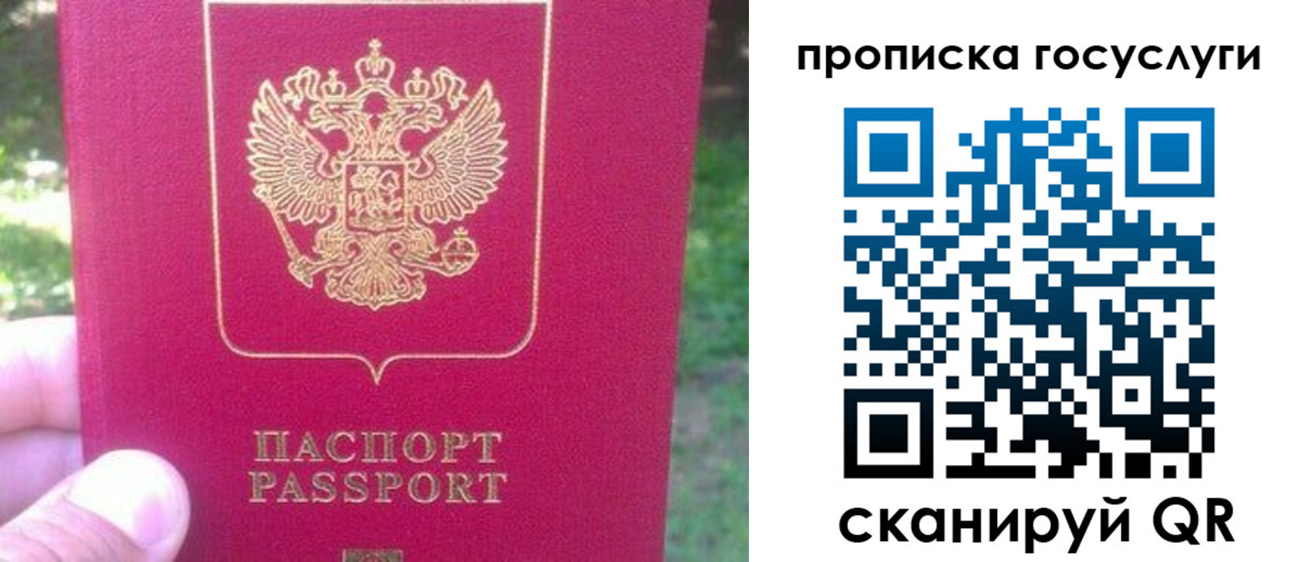 временная регистрация собственник в Новочеркасске